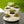 The HC Companies 8 Inch Pixie Indoor Stacking Plant Pot, Vanilla Bisque (2 Pack) - TRAPSKI