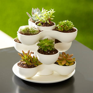 The HC Companies 8 Inch Pixie Indoor Stacking Plant Pot, Vanilla Bisque (2 Pack) - TRAPSKI