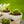 The HC Companies 8 Inch Pixie Indoor Stacking Plant Pot, Vanilla Bisque (2 Pack) - TRAPSKI