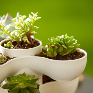 The HC Companies 8 Inch Pixie Indoor Stacking Plant Pot, Vanilla Bisque (2 Pack) - TRAPSKI