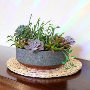 The HC Companies Capri Bowl Succulent Planter, Faux Concrete Copper (5 Pack) - TRAPSKI