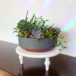 The HC Companies Capri Bowl Succulent Planter, Faux Concrete Copper (5 Pack) - TRAPSKI
