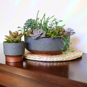 The HC Companies Capri Bowl Succulent Planter, Faux Concrete Copper (5 Pack) - TRAPSKI