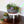 The HC Companies Capri Bowl Succulent Planter, Faux Concrete Copper (10 Pack) - TRAPSKI