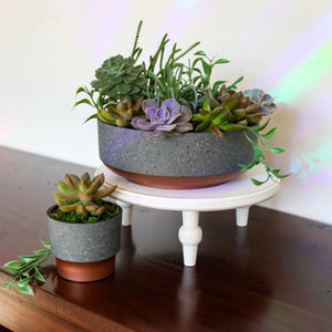 The HC Companies Capri Bowl Succulent Planter, Faux Concrete Copper (10 Pack) - TRAPSKI