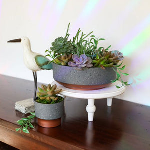 The HC Companies Capri Bowl Succulent Planter, Faux Concrete Copper (20 Pack) - TRAPSKI