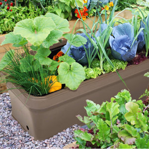 FCMP 32 Inch Outdoor Long and Deep Self Watering Vegetable Planter, Cappuccino
