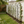 4 Pack Metal Garden Trellis for Climbing Plants