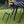 Springfree Trampoline 12' x 19' Trampoline with FlexrStep V2 Ladder Accessory