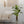 Maia Shop Artificial Banana Tree 5 Feet Tall Tropical Home Decoration, 60 Inches