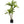 Maia Shop Artificial Dracaena Plant 3.5 Feet Tall Tropical Palm Tree, 41 inches
