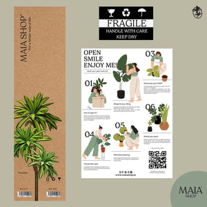 Maia Shop Artificial Dracaena Plant 3.5 Feet Tall Tropical Palm Tree, 41 inches