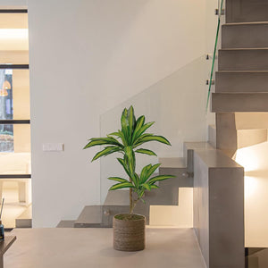 Maia Shop Artificial Dracaena Plant 3.5 Feet Tall Tropical Palm Tree, 41 inches