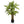 Maia Shop Artificial Dracaena Plant 3.9ft Tall Tropical Palm Tree, 47 inches