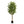 Maia Shop Artificial Eucalyptus Tree 5' Tall, Fake Tree with Natural Wood Trunk