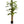 Maia Shop Artificial Banana Tree 7 Feet Tall Tropical Home Decoration, 83 Inches