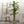 Maia Shop Artificial Banana Tree 7 Feet Tall Tropical Home Decoration, 83 Inches