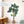 Maia Shop Artificial Monstera Tropical Palm Tree Home Decoration, 72 Inches - TRAPSKI