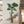 Maia Shop Artificial Monstera Tropical Palm Tree Home Decoration, 72 Inches - TRAPSKI