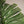 Maia Shop Artificial Monstera Tropical Palm Tree Home Decoration, 72 Inches - TRAPSKI