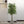 Maia Shop Artificial Ficus Tree 5 Feet Tall Tropical Home Decoration, 60 Inches