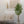 Maia Shop Artificial Eucalyptus Tree 6' Tall, Fake Tree with Natural Wood Trunk