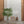 Maia Shop Artificial Bamboo Tree 3.5 Ft Tall Tropical Home Decoration, 41 Inches
