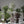 Maia Shop Artificial Bamboo Tree 3.5 Ft Tall Tropical Home Decoration, 41 Inches