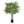 Maia Shop Artificial Bamboo Tree 3.5 Ft Tall Tropical Home Decoration, 41 Inches