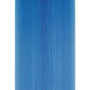 Hurricane 2 Pack HF5345-01M Elite Aseptic Spa Filter Cartridge Replacement