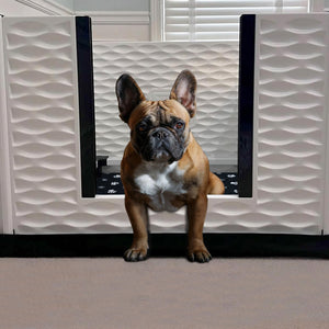 EZwhelp EZclassic 38" x 38" Puppy Dog Whelping Box Playpen with Rails & Liner