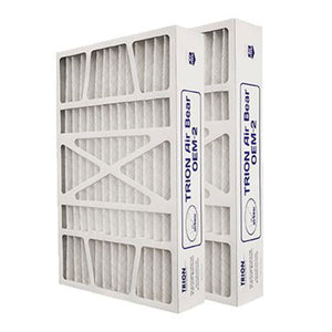 Trion Air Bear OEM 20x25x4 Inch MERV 11 Replacement Air Purifier Filter, 2 Pack