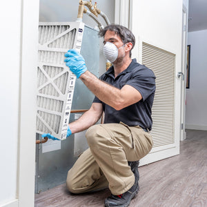 Trion Air Bear OEM 20x25x4 Inch MERV 13 Replacement Air Purifier Filter, 2 Pack