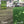 Earth Science 1 Step Sun & Shade Lawn Thickener Seed for Thin Lawns, 12 Pounds - TRAPSKI