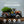 Avera Products Ceramic Vintage Truck Planter with Earthenware Clay for Plants - TRAPSKI