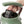 Haden Dorset 1.7 Liter Electric Water Kettle with 360-Degree Base, Cedar Green - TRAPSKI