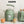 Haden Dorset 1.7 Liter Electric Water Kettle with 360-Degree Base, Cedar Green - TRAPSKI