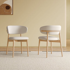 Mid-Century Modern Dining Chair (Set of 2)