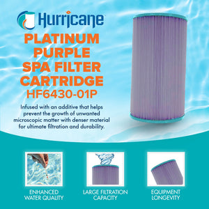 Hurricane HF6430-01P Platinum Purple Pool and Spa Filter Cartridge Replacement