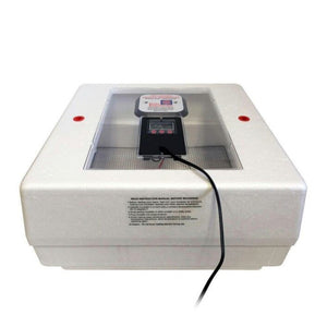 Farm Innovators 40W Digital Circulated Air Incubator for Up to 4 Eggs (2 Pack)