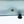 Farm Innovators 40W Digital Circulated Air Incubator for Up to 4 Eggs (3 Pack)