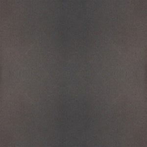 Westinghouse Burnham Single Light Exterior Wall Mount Lantern & Honey Art Glass