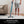Shark Pet Pro Cordless Lightweight Vacuum Cleaner (Certified Refurbished)