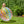 Intex Jumbo Inflatable Colorful Transparent PVC Giant Beach Ball, Color Varies