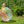 Intex Jumbo Inflatable Colorful Transparent PVC Giant Beach Ball, Color Varies - TRAPSKI