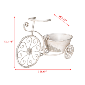 Rustic Bicycle Metal Wire Wall Planter Basket
