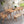 Velentina 5 Pieces Patio / Outdoor Dining Set - Natural