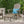 Malibu Adirondack Chair