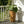 Tall Antique Bronze Tree-Embossed MGO Planter