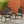 Outdoor Wicker Chairs, 56225.00CHRBRN KD, 4pcs